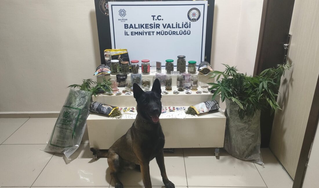 Bandırma’da uyuşturucuya yönelik operasyonlar aralıksız devam ediyor. Bandırma NSM Büro