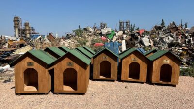 Bandırma Belediyesi, sokak hayvanlarının yaşam koşullarını iyileştirmeye yönelik çalışmalarına bir