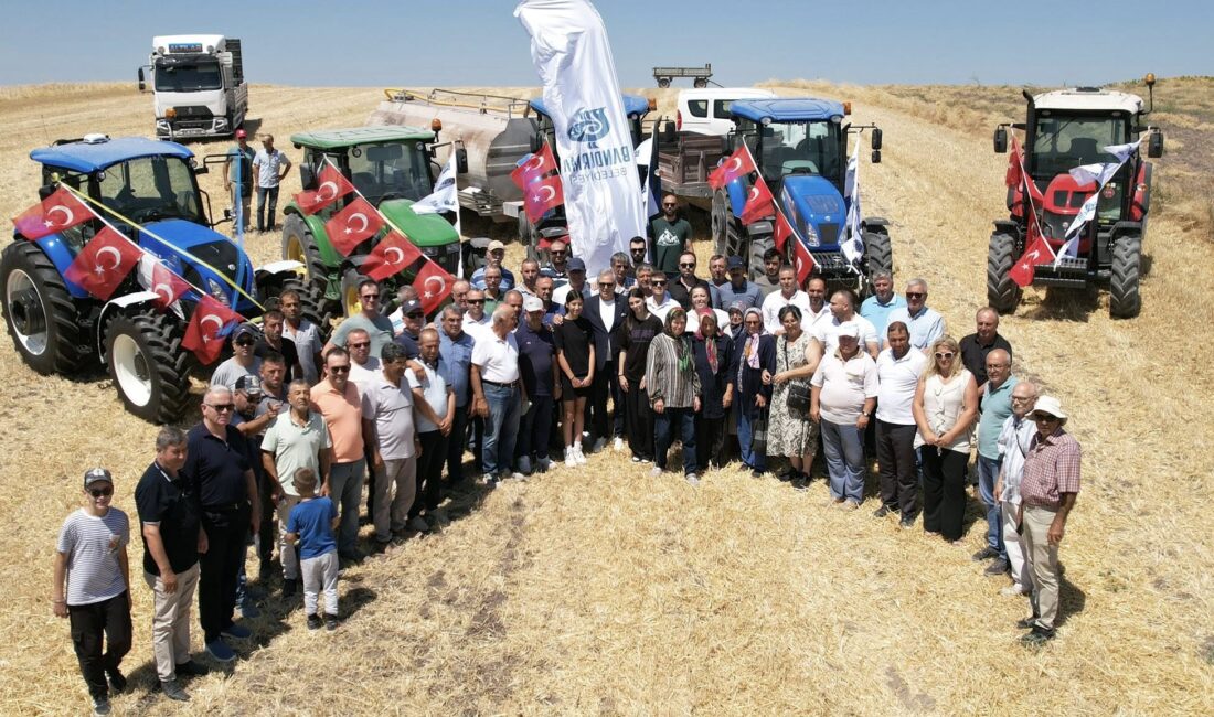 Bandırma Belediyesinin olan 214 Dönüm arazide nohut hasadı yapıldı. Hasat
