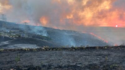 Organize Sanayi Bölgesi (OSB) yakınlarında çıkan arazi yangını, ekiplerin havadan
