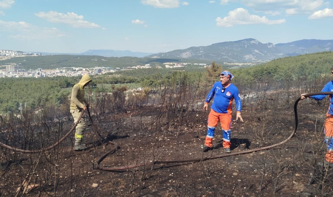 911 Arama ve Kurtarma Derneği ekipleri son günlerde özellikle İzmir