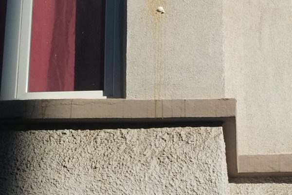 Zafer Partisi İlçe Başkanlığı’na yumurtalı saldırı