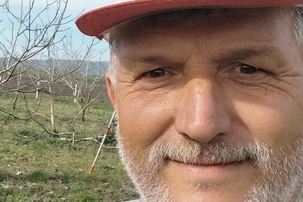 Yaban Arılarının saldırısında hayatını kaybetti