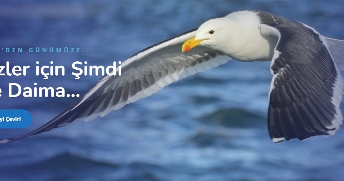 Bu blog yazısında, Kırgızca Türkçe çeviri süreci ve önemi ele