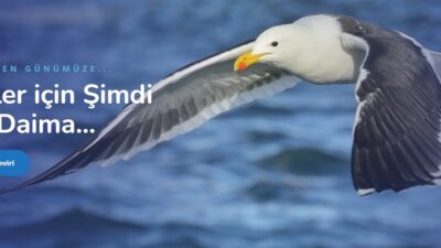 Kırgızca Türkçe Çeviri ve Macaristan Çeviri – Okeanostercume.com.tr Bu blog yazısında, Kırgızca Türkçe çeviri süreci ve önemi ele