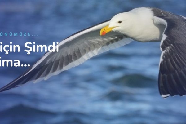 Kırgızca Türkçe Çeviri ve Macaristan Çeviri – Okeanostercume.com.tr