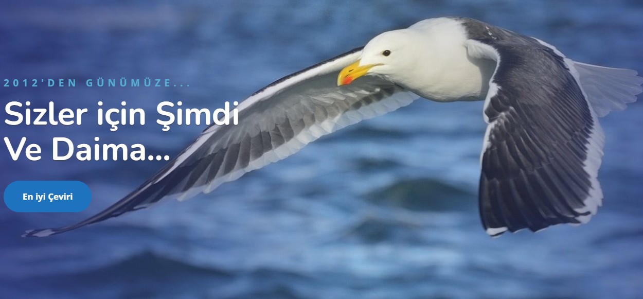 Kırgızca Türkçe Çeviri ve Macaristan Çeviri – Okeanostercume.com.tr