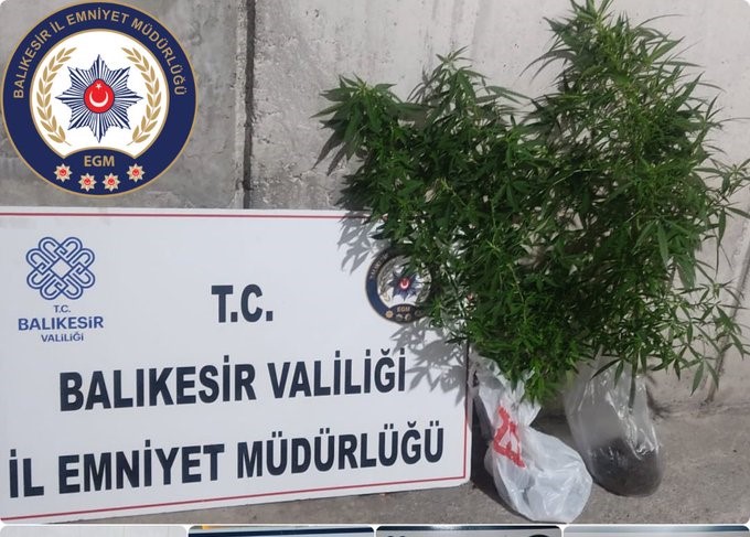 Asayiş Şube Müdürlüğünce şüpheli şahıslar ve araçlar üzerinde 04-14 Ağustos