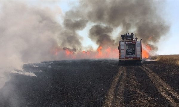 Bandırma’da arazi yangını büyümeden söndürüldü