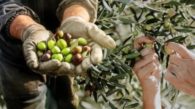 Bandırma Belediyesi, tarımsal üretimde sürdürülebilirliği artırmak ve genç üreticilerin motivasyonunu