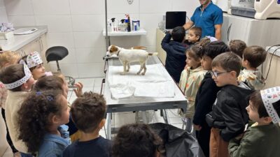 Bandırma Belediyesi, Hayvanları Koruma Günü kapsamında düzenlediği etkinlikte öğrencileri barınakta