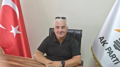 Yaklaşık bir haftadır Bandırma Limanına kaçak ve kimliksiz hayvanların sokulmaya