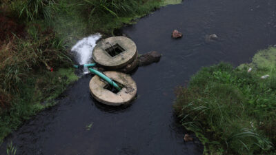 Prof. Dr. Sarı ve Doç Dr. Karadurmuş : Çaya yapılan