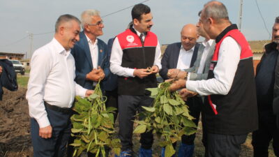  Manyas Kültür ve Turizm Derneğinin düzenlediği 1.kazak fasulyesi hasat festivali