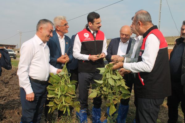 Coğrafi işaretli Kazak Fasulyesi 1.Hasat Festivali yapıldı