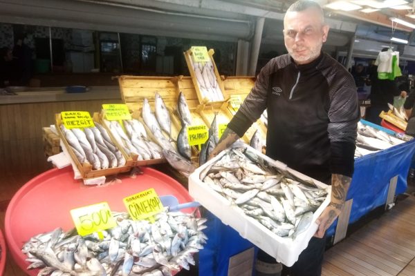 Balık halinde çinekop ve hamsi bolluğu yaşanıyor