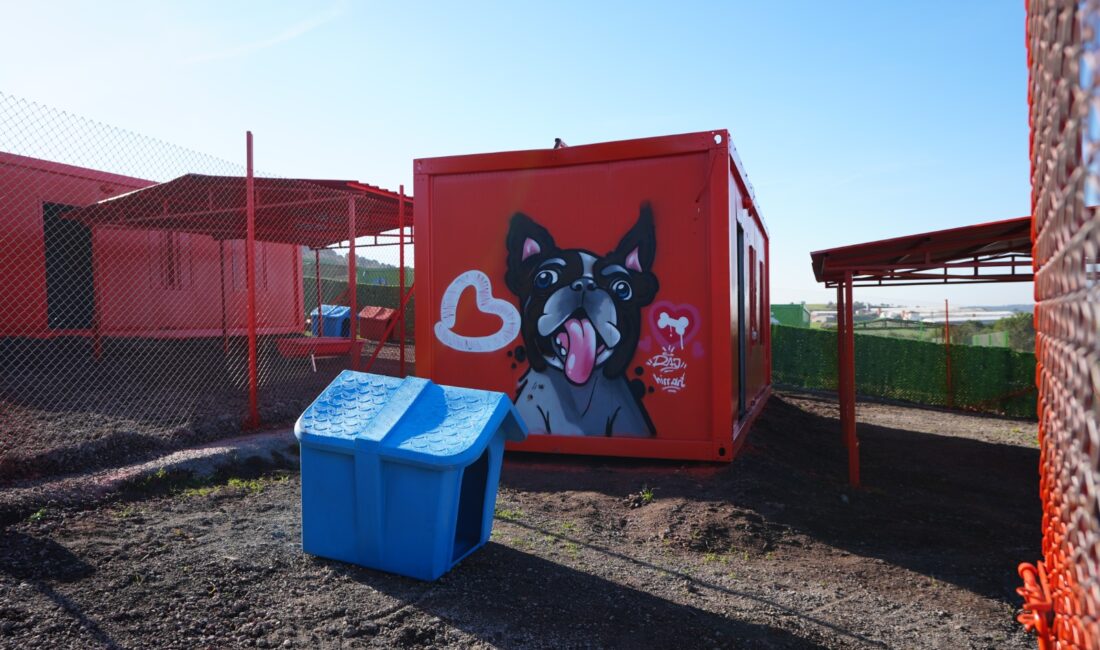   Balıkesir Büyükşehir Belediye Başkanı Ahmet Akın, Karesi ilçesindeki Yeniköy
