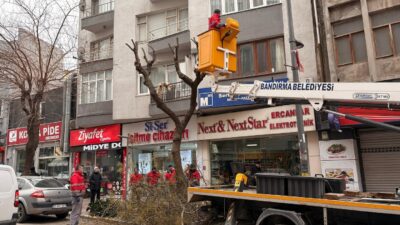 Bandırma Belediyesi Kent estetiğini korumak ve ağaçların daha sağlıklı gelişimini