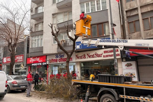 Ordu Caddesi’nde Ağaç Budama Çalışmaları Devam Ediyor