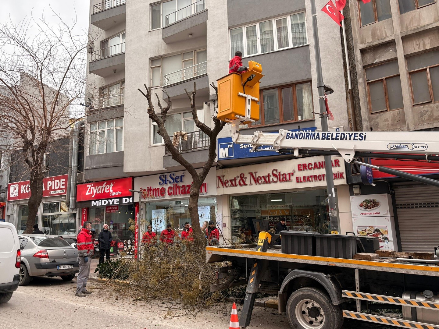 Ordu Caddesi’nde Ağaç Budama Çalışmaları Devam Ediyor