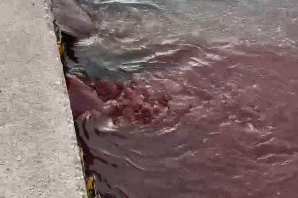BASKİ: kanalizasyona usulsüz döküm yapıldı