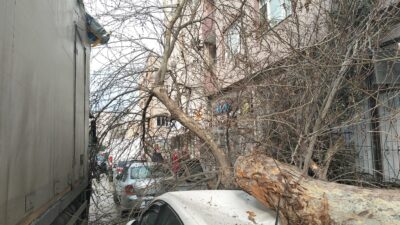 Kurtuluş Caddesi üzerinde bulunan ağaçtan kaynaklanan kazalara bir yenisi daha