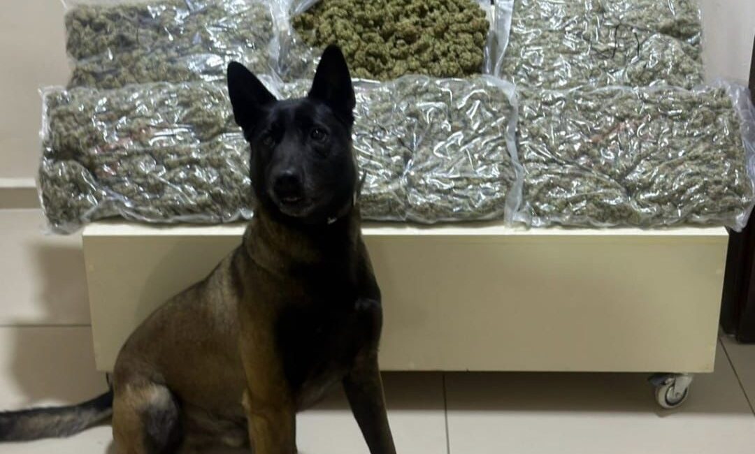 Balıkesir İl Emniyet Müdürlüğü Narkotik Suçlarla Mücadele Şube Müdürlüğü görevlilerince