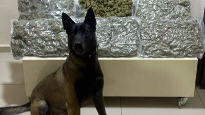 Balıkesir İl Emniyet Müdürlüğü Narkotik Suçlarla Mücadele Şube Müdürlüğü görevlilerince