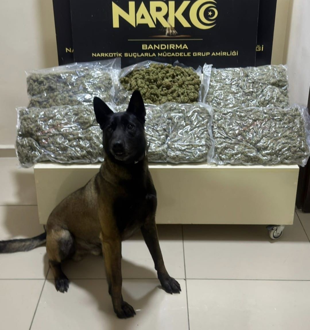 Balıkesir İl Emniyet Müdürlüğü Narkotik Suçlarla Mücadele Şube Müdürlüğü görevlilerince