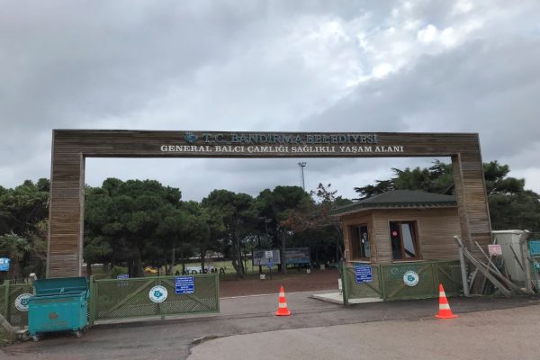 Balcı Çamlığı satılacak