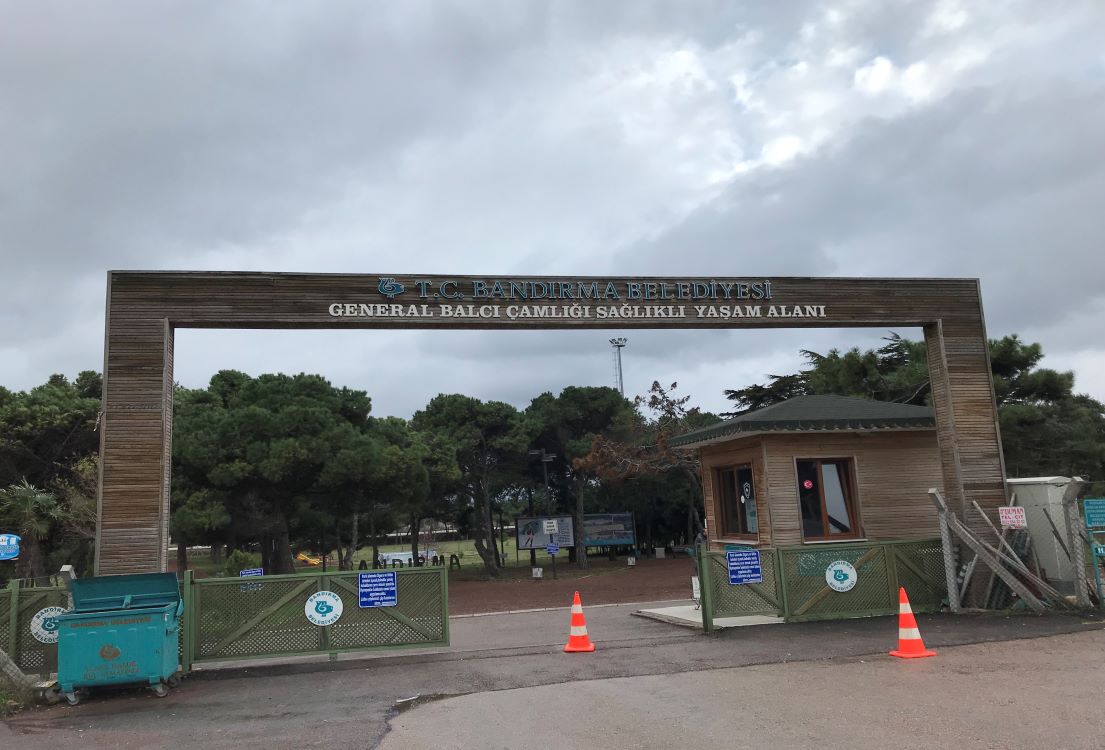 Balcı Çamlığı satılacak