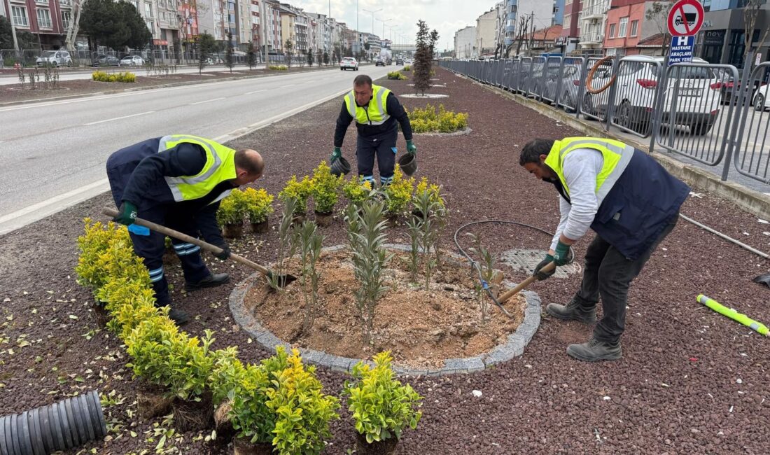 &nbsp; Balıkesir Büyükşehir Belediyesi, Bandırma girişinden sahillere uzanan çalışmalarla bölgeyi