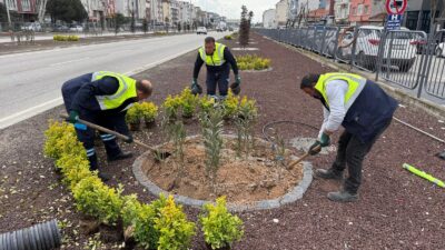 &nbsp; Balıkesir Büyükşehir Belediyesi, Bandırma girişinden sahillere uzanan çalışmalarla bölgeyi