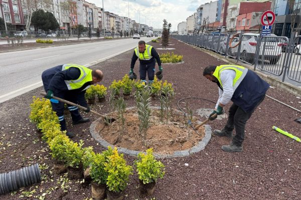 Büyükşehir yaza hazırlanıyor