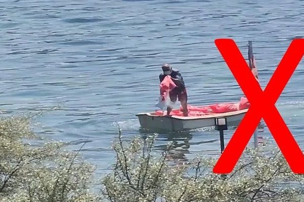 Sarı: Deniz çayırlarını sökmeyin