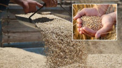 Balıkesir İli Ziraat Odaları İl Koordinasyon Kurulu olarak gerçekleştirilen toplantıda,