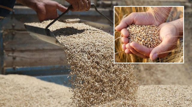 Balıkesir İli Ziraat Odaları İl Koordinasyon Kurulu olarak gerçekleştirilen toplantıda,