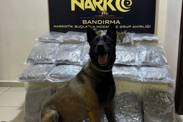 Gübre torbalarını kokladı, 11 kilo esrara ulaştı