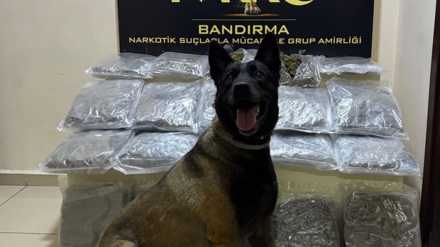 Gübre torbalarını kokladı, 11 kilo esrara ulaştı