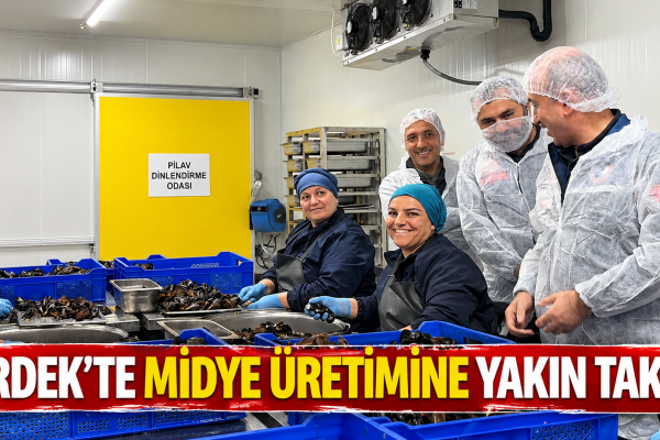 Erdek’te Midye Üretimine Yakın Takip